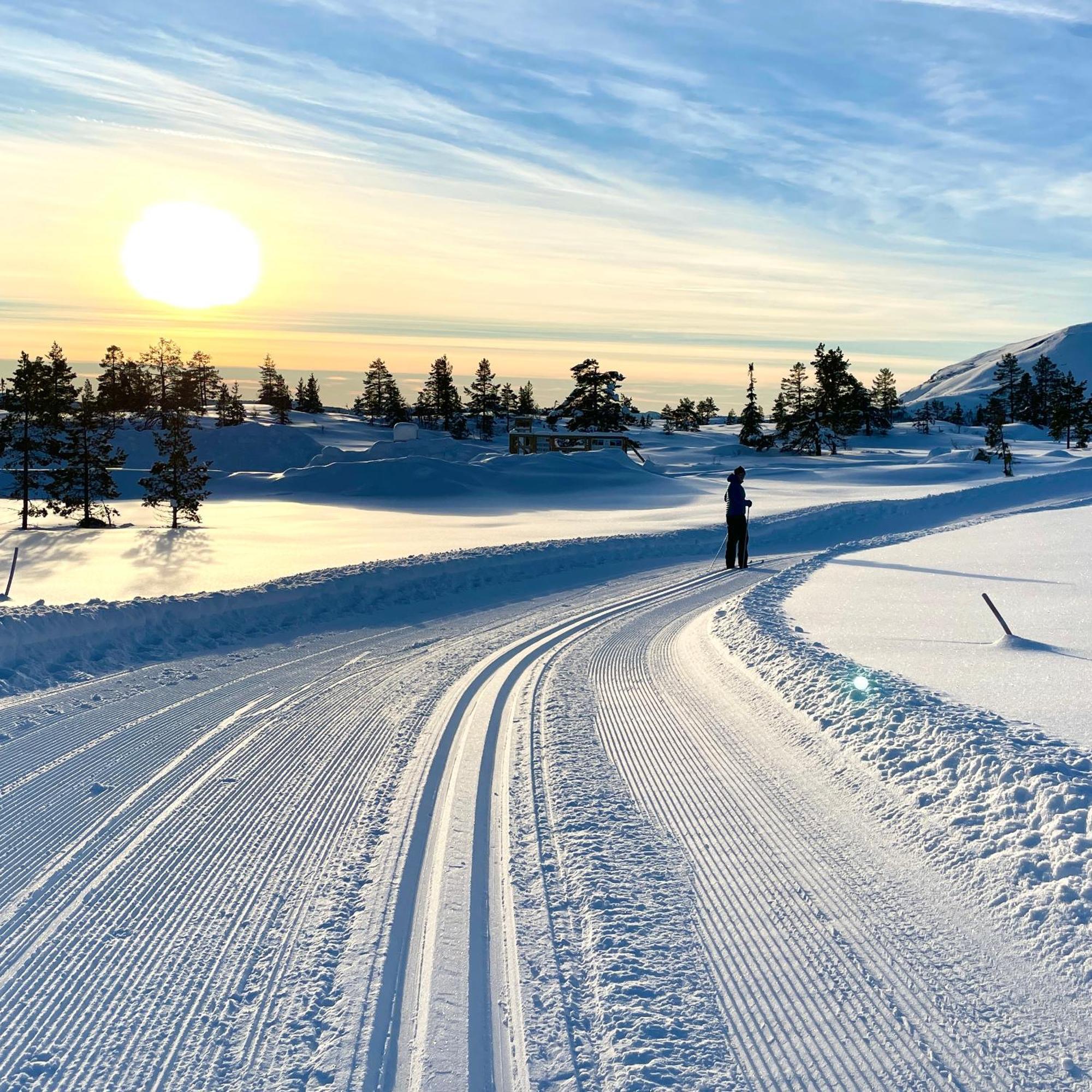 Vradal Panorama Villa Eksteriør billede